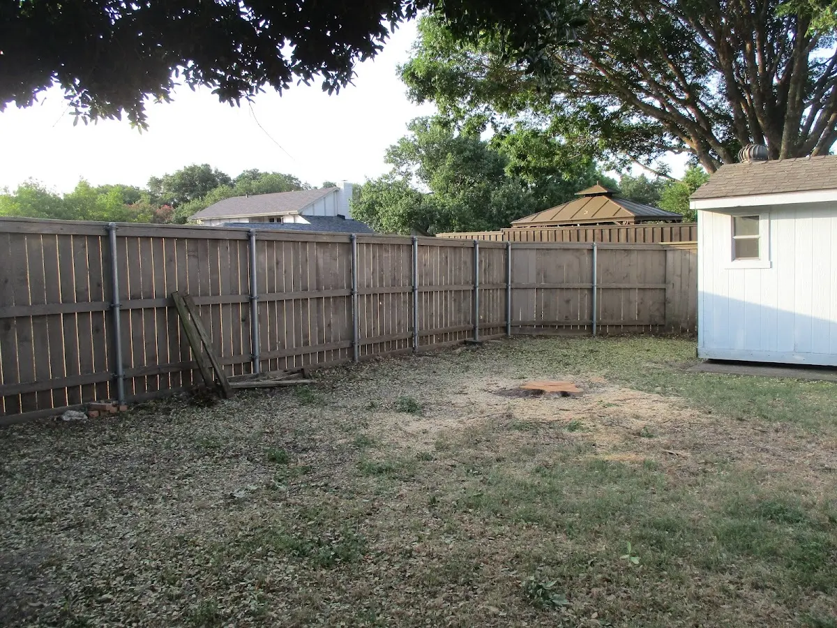 Cleared yard after professional tree removal in Niagara